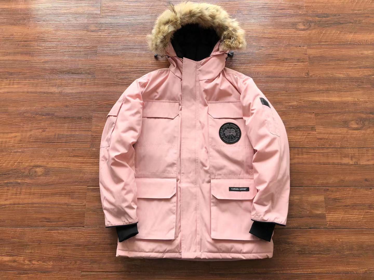 Pink Canada Goose