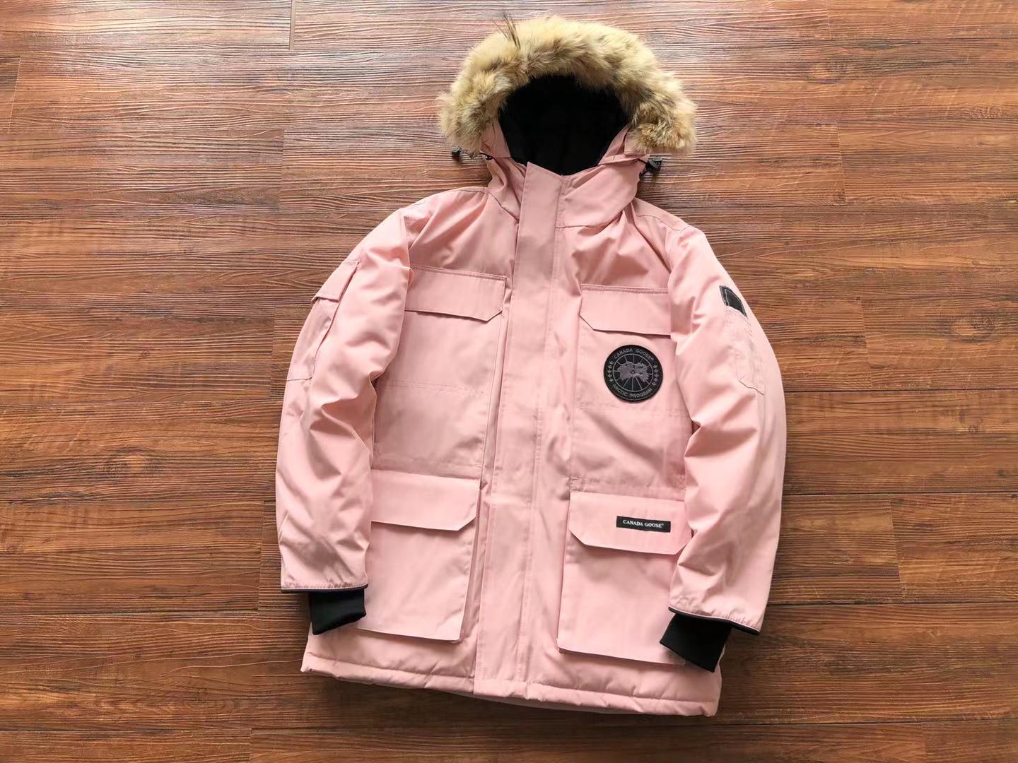 Pink Canada Goose