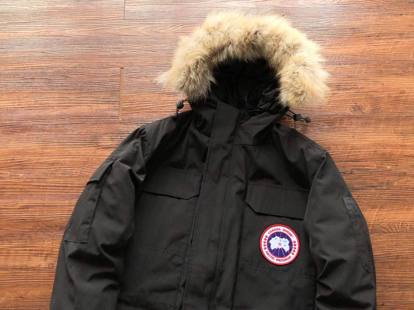 Black Canada Goose