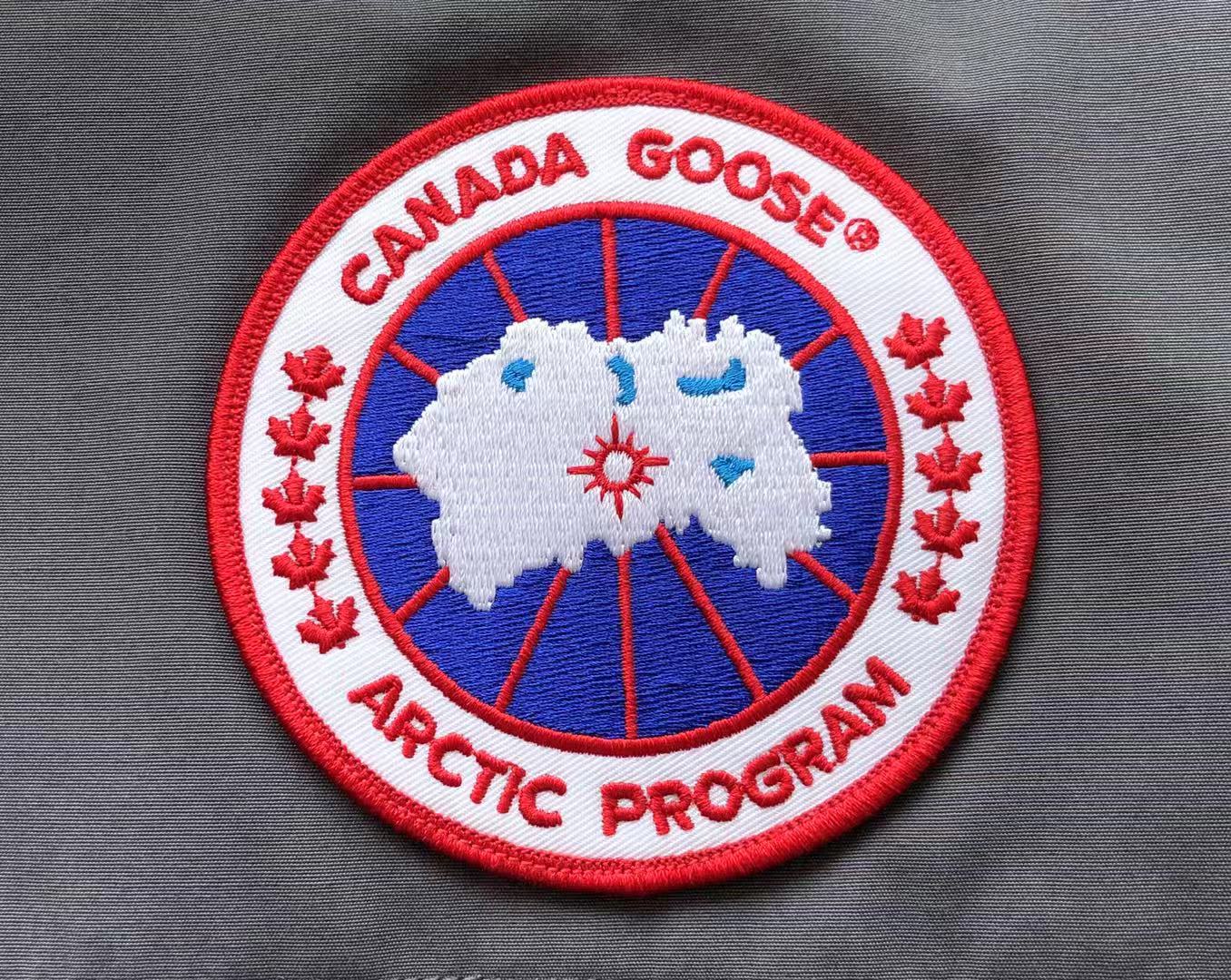 Grey Canada Goose