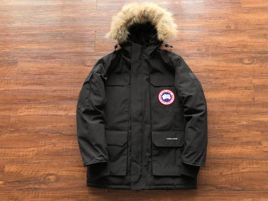 Black Canada Goose