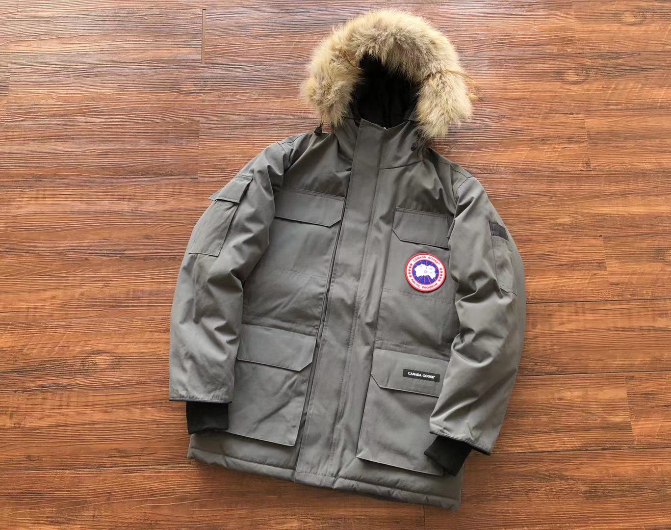 Grey Canada Goose