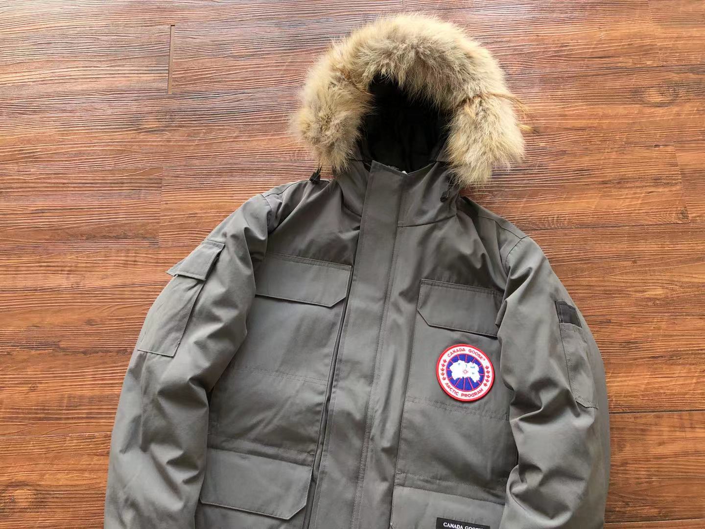 Grey Canada Goose