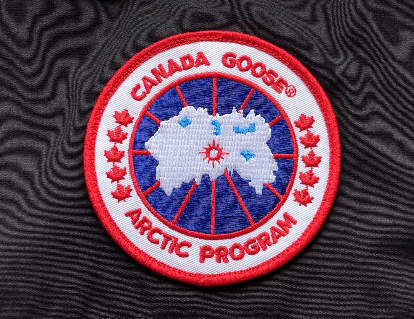 Black Canada Goose