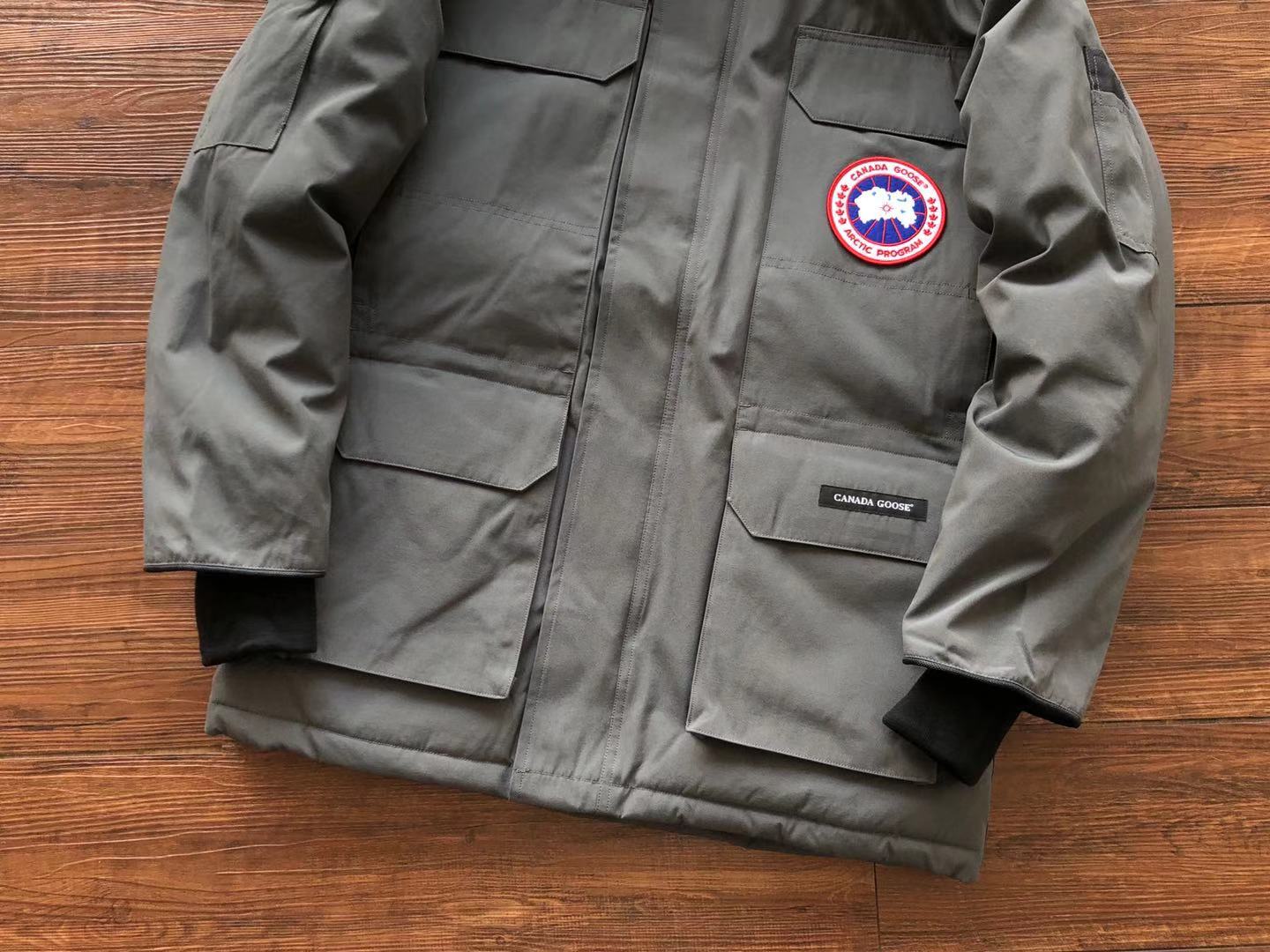 Grey Canada Goose