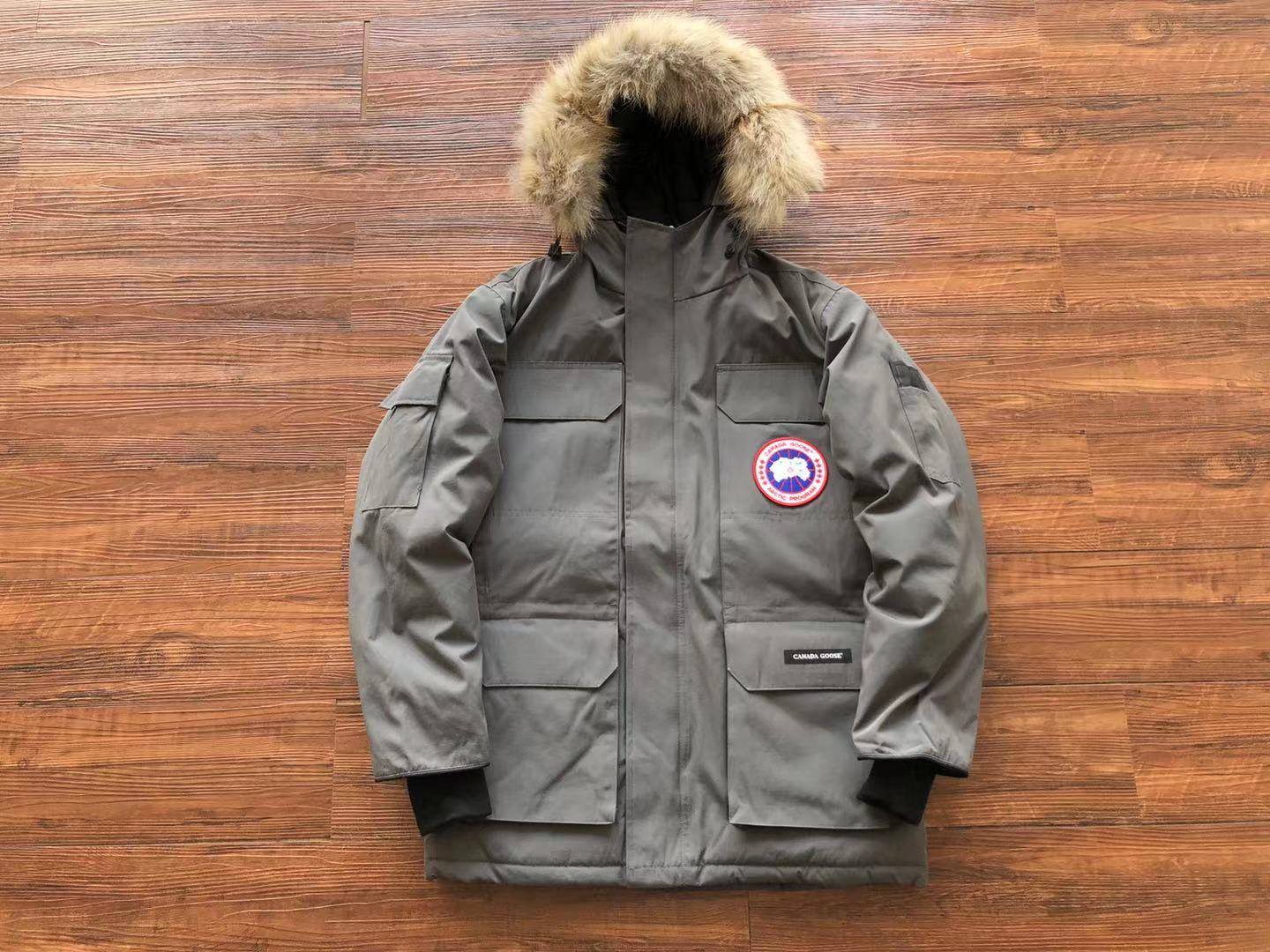 Grey Canada Goose