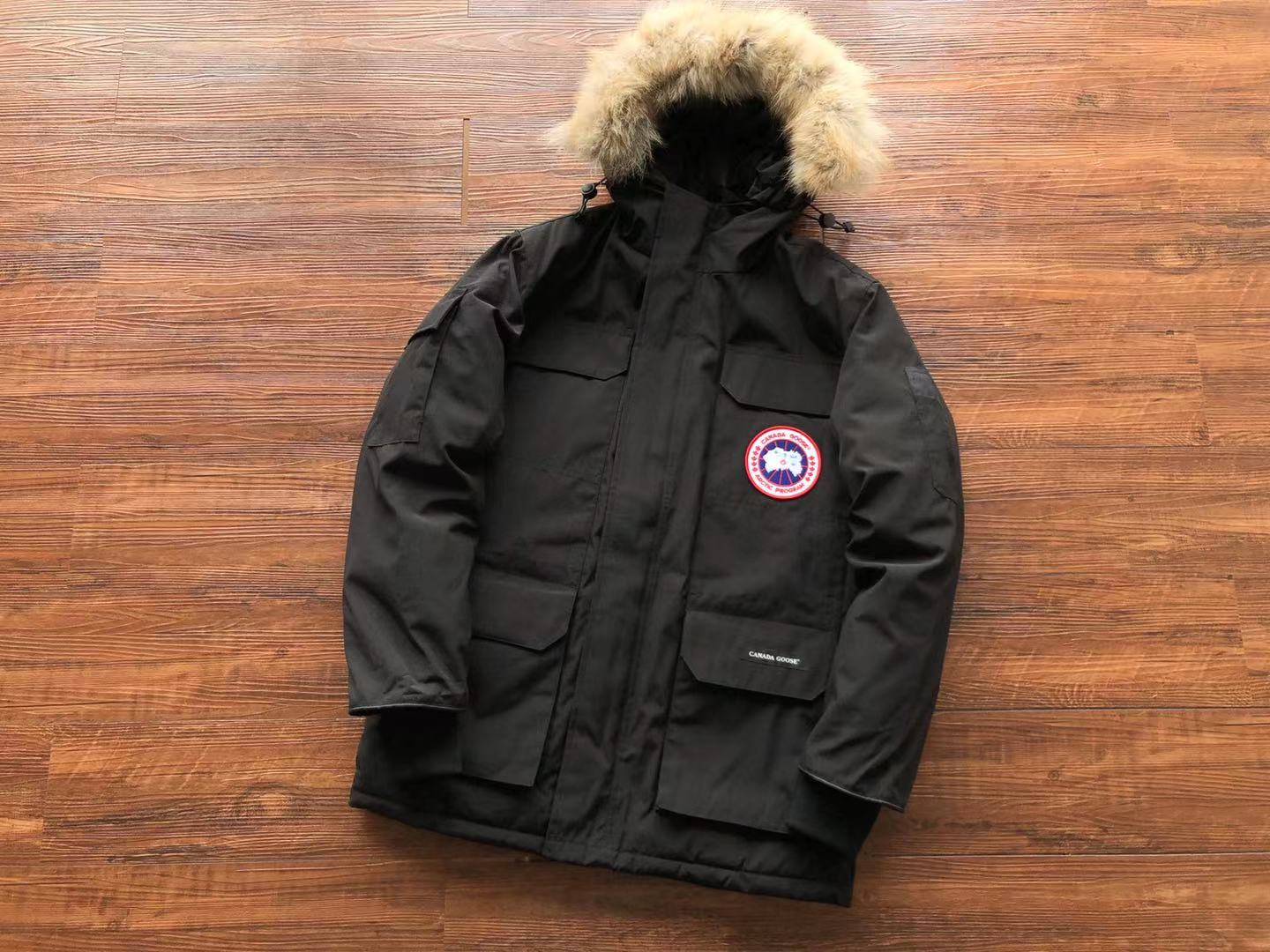 Black Canada Goose